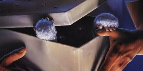 Sortegem invitacions per veure “Gremlins” als cinemes Cinesa Parc Vallès
