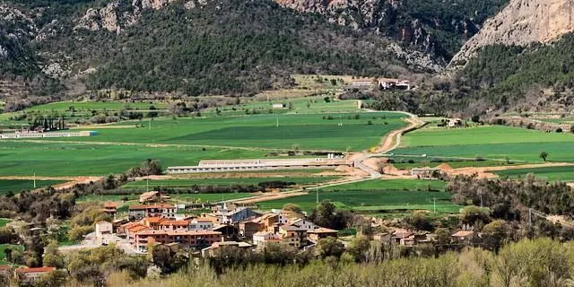 Tragó lliura el Premi Guillem de Belibasta en el marc de la seva Festa Major