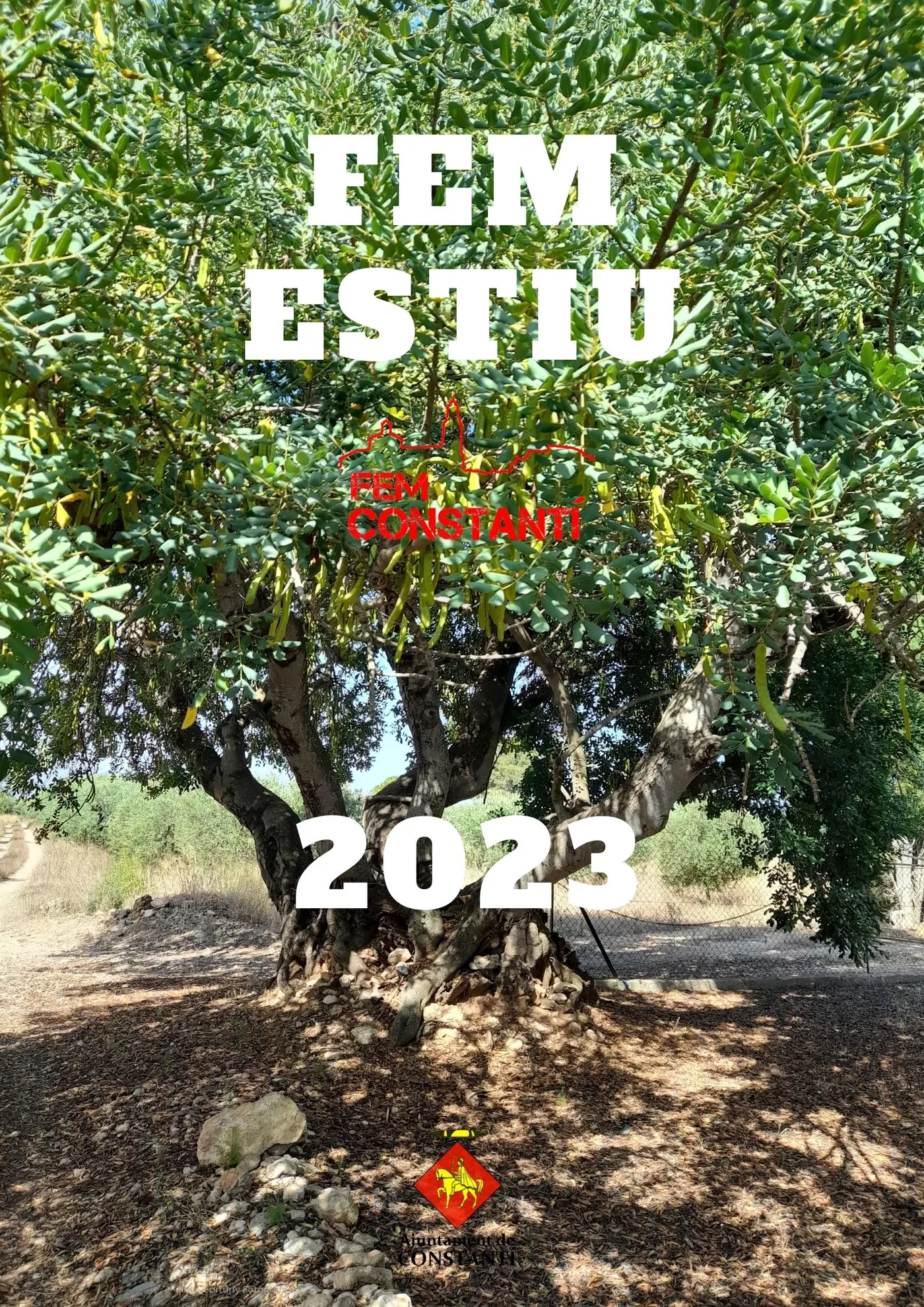 El cicle d’activitats “Fem Estiu, Fem Constantí” continua durant el mes d’agost