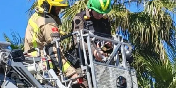 Rescaten un falcó atrapat a l’antena d’un habitatge de Roda de Berà