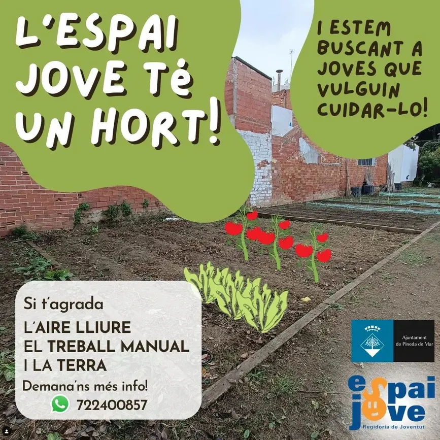 L'Espai Jove té hort i busca joves que el vulguin cuidar