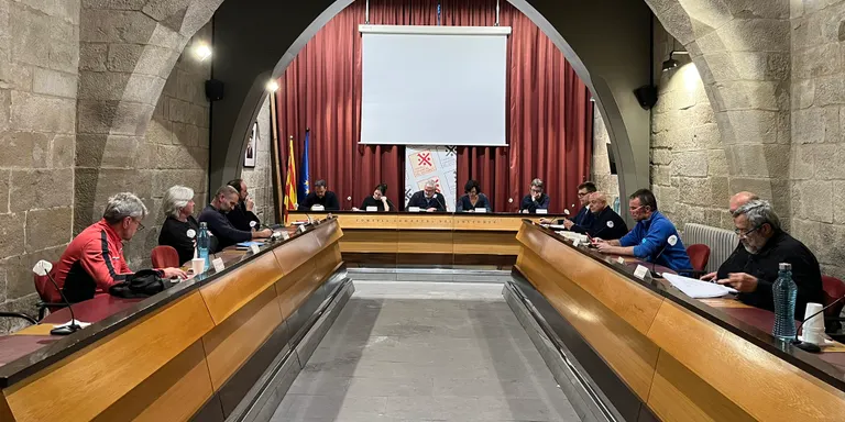 El Consell d'Alcaldies dona llum verda a una moció per al reconeixement i l'acompanyament en el dol gestacional, perinatal i neonatal