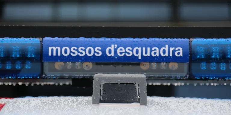 Mor un jove en una col·lisió frontal entre dos camions a l'N-260 a La Seu d'Urgell