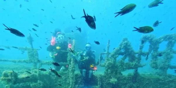 La Societat d’Exploracions Submarines de Tarragona augmenta les immersions al parc aquàtic