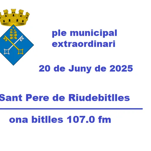 Ple Municipal 20 de Juny de 2025