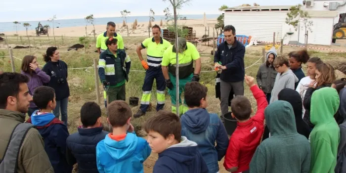 Les escoles d’Arenys tornen a fer una plantació a les platges
