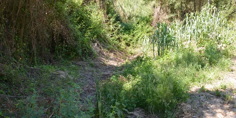 S'inicien les obres dels col.lectors de la conca 2 i 3