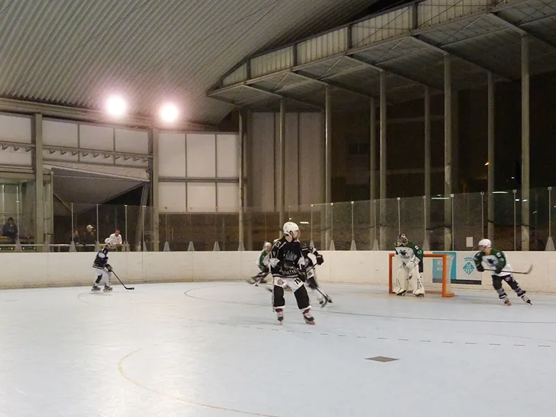 Torna la competició nacional en hoquei patins en línia, però ho fa a Madrid / Arxiu
