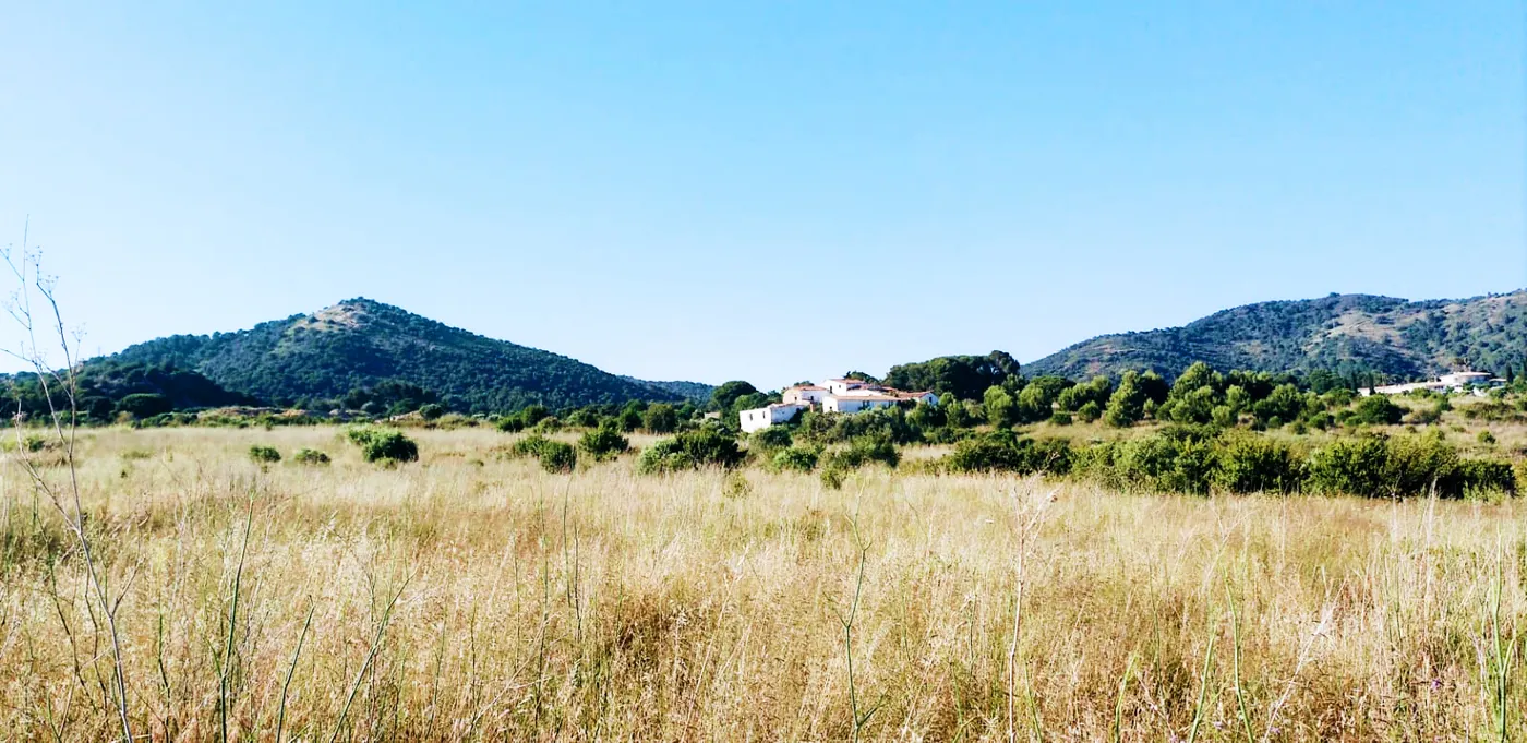 Petits canvis a la vista però el cap de setmana torna el bon temps