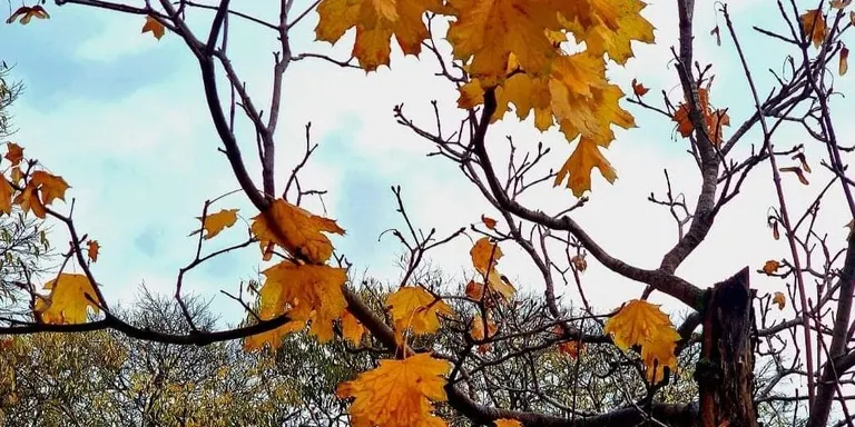 Cap de setmana estable i ambient suau