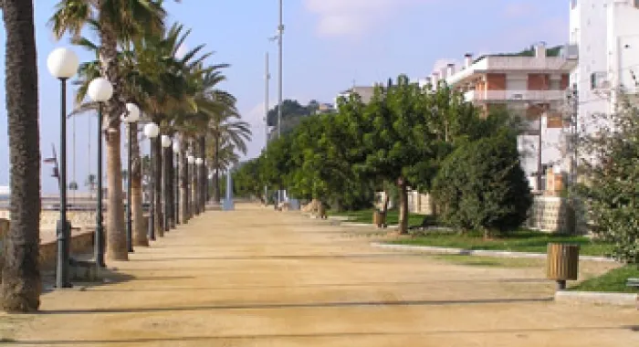 La Milla de Canet es farÃ  pel passeig de mar (foto: Ajuntament Canet) 