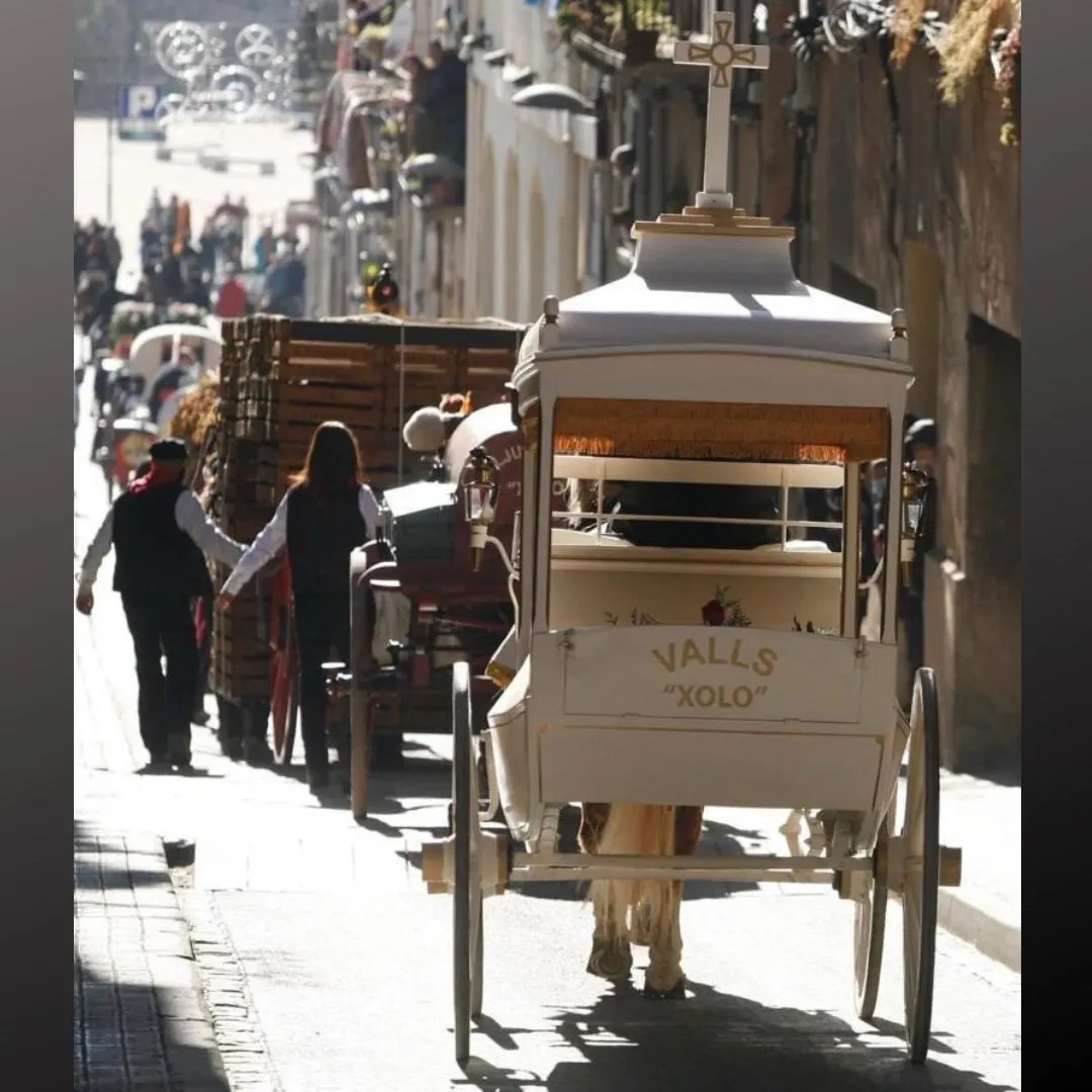 Tot a punt per la 44ª edició dels Tres Tombs de Sant Antoni