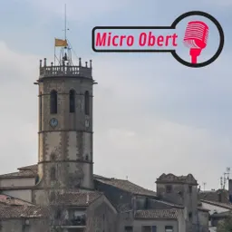 Micro obert 11/12/2023 - 100 dies de govern - episode art