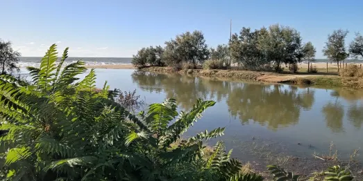 Arenys de Mar netejarà la sorra del calaix de la Riera