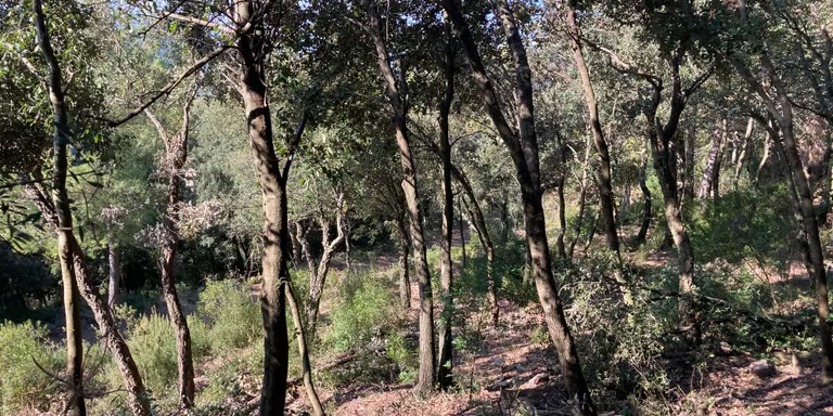 Neix l’Agrupació de Defensa Forestal Ter-Brugent