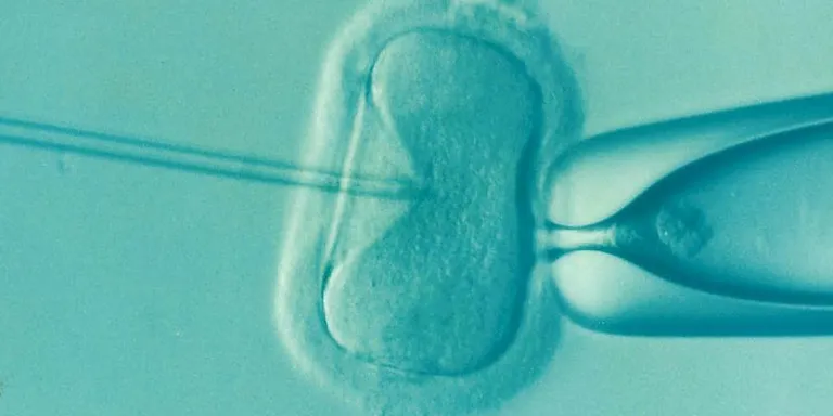 Rubí és l’única ciutat espanyola on la Justícia ha autoritzat la inseminació post mortem