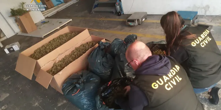La Guàrdia Civil desmantella dues plantacions de marihuana al polígon industrial de Constantí