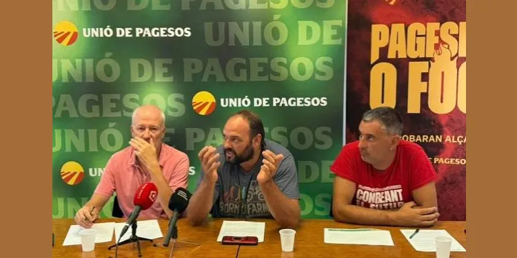 Unió de Pagesos denuncia que Agricultura no donarà ajudes als pagesos afectats pels efectes de la sequera en l'ametlla de secà i la garrofa