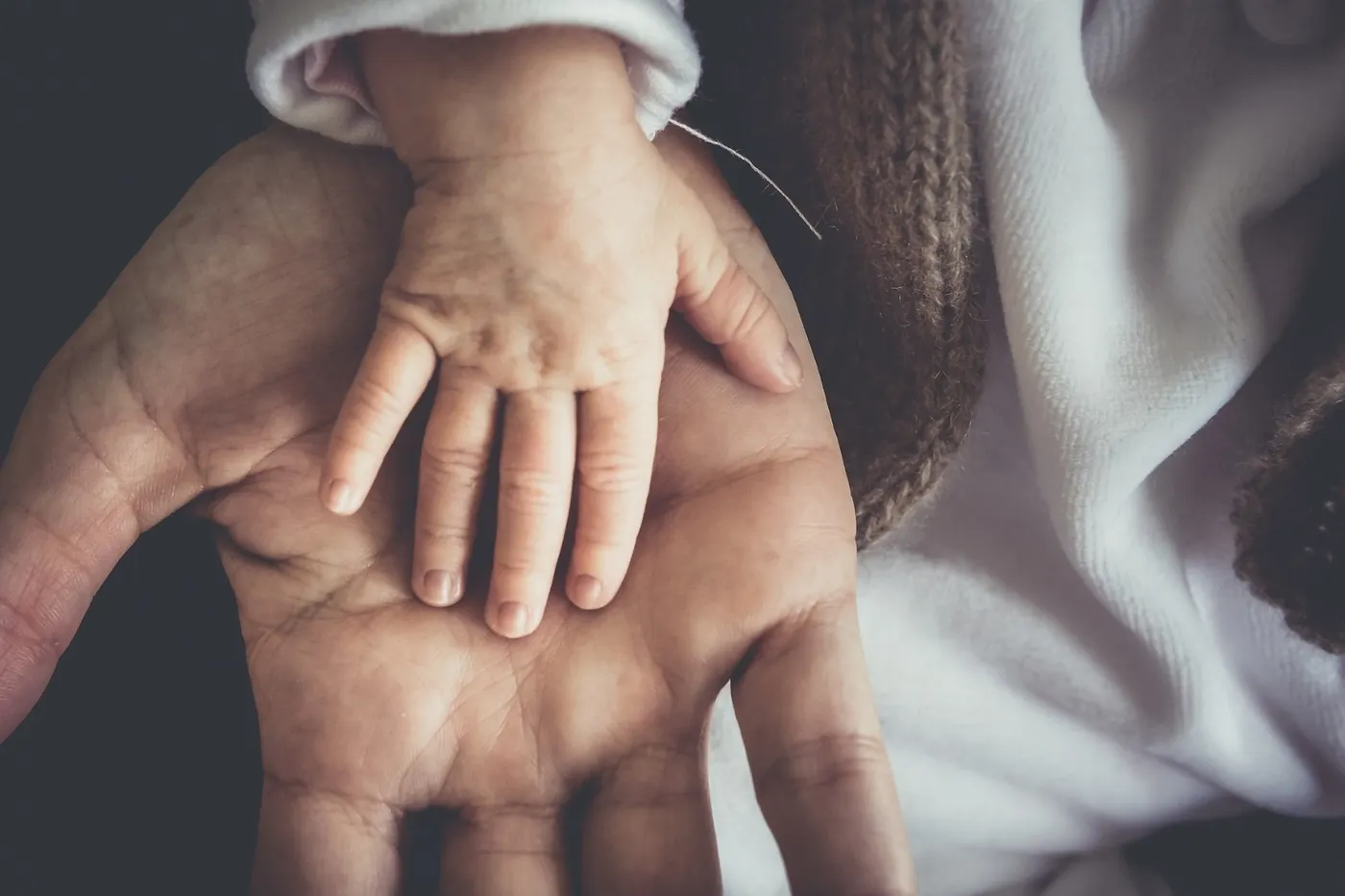 El Consell Comarcal posa en marxa un espai de criança compartida per a infants de 0 a 3 per fomentar una paternitat activa i corresponsable