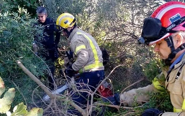 Foto: Policia Local d'Altafulla