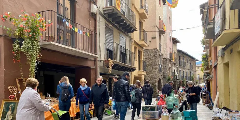 Demanen el retorn dels Encants dels Canonges