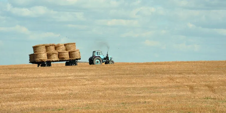 Les comarques de Ponent i les Terres de l'Ebre seran els territoris amb menys impacte pel pes que té el sector primari i la indústria de l'agroalimentació en aquests territoris