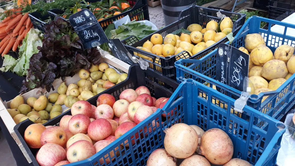 L’enginyer i escriptor Laureà Miró ens ensenya el camí per abraçar el veganisme