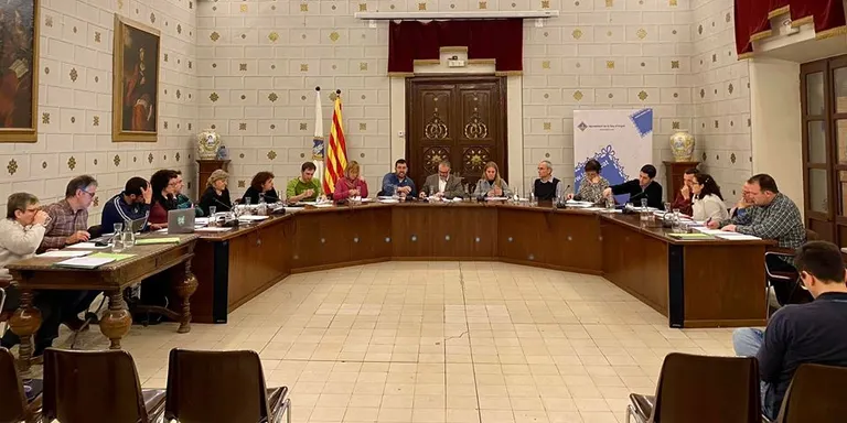 L'ordre del dia del ple de la Seu inclou l'aprovació del compte general del 2020