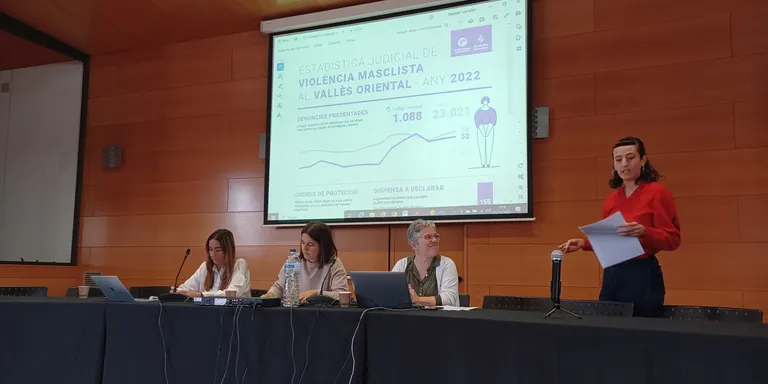 Professionals dels serveis socials de diversos municipis del Vallès Oriental treballen en un protocol conjunt per abordar les violències masclistes