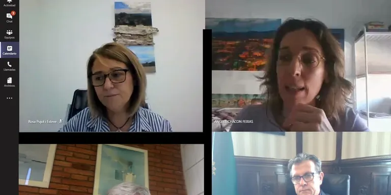 Trobada virtual del sector turístic del Pirineu i les Terres de Lleida per definir línies d'actuació davant la crisi de la COVID-19