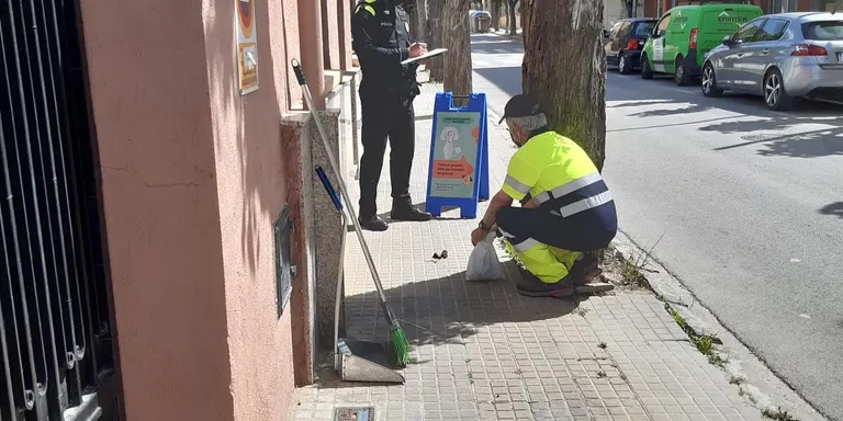 A Caldes s’han posat des del gener unes 40 denúncies a propietaris de gossos que no en recullen els excrements