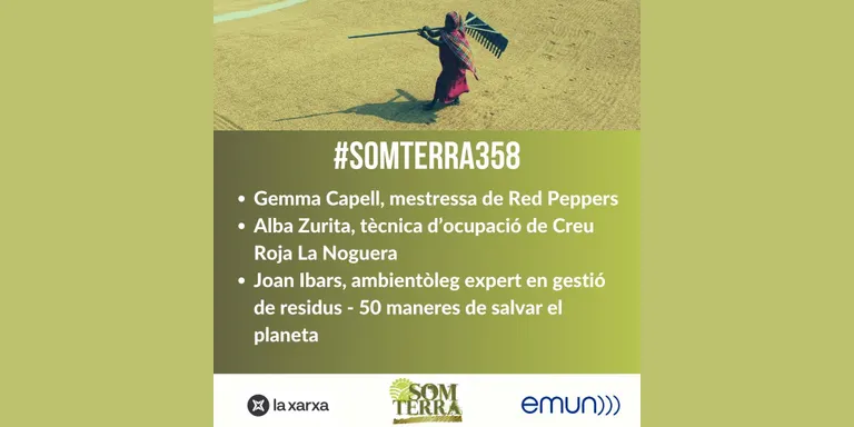 Som Terra 358