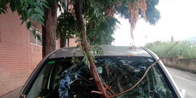 La intensa tempesta deixa 37,4 litres per metre quadrat i bandera vermella a la platja