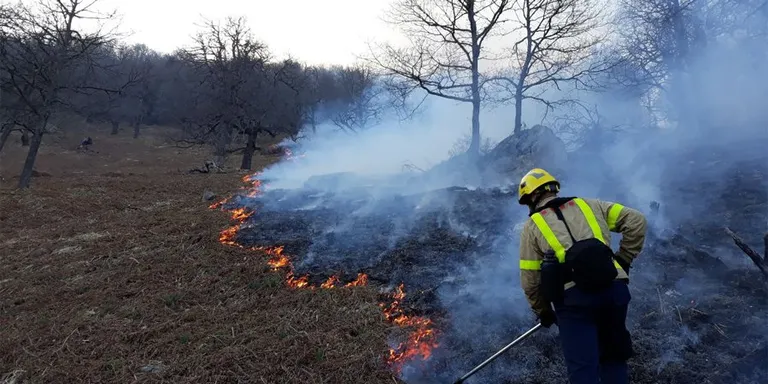 Incendi d'alta muntanya al municipi de Les
