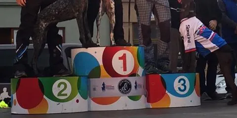 El múixer català Víctor Carrasco, campió d'Europa de bikejoring
