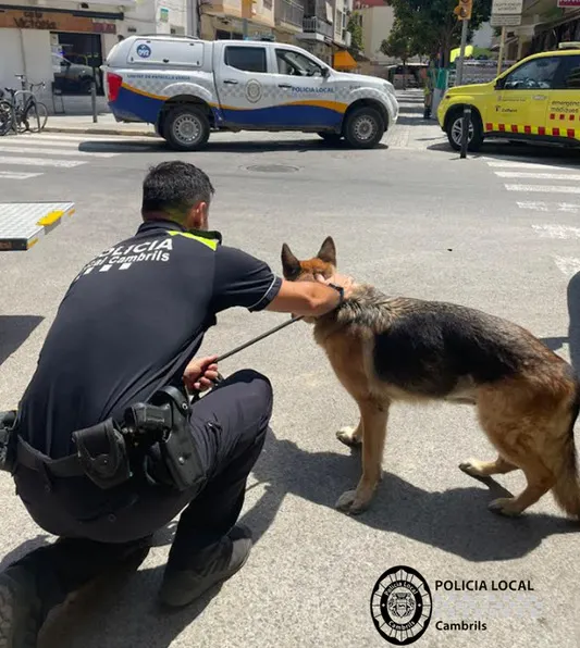 La Policia de Cambrils rescata un gos d’un pis on s’havia declarat un petit incendi sense víctimes