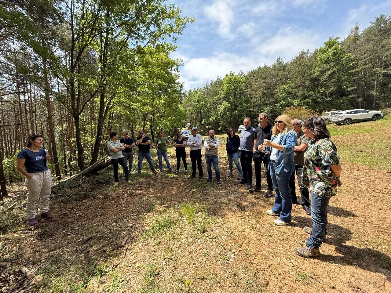 Aigües Ter-Llobregat finança un projecte forestal a la capçalera del Cardener a través de crèdits climàtics