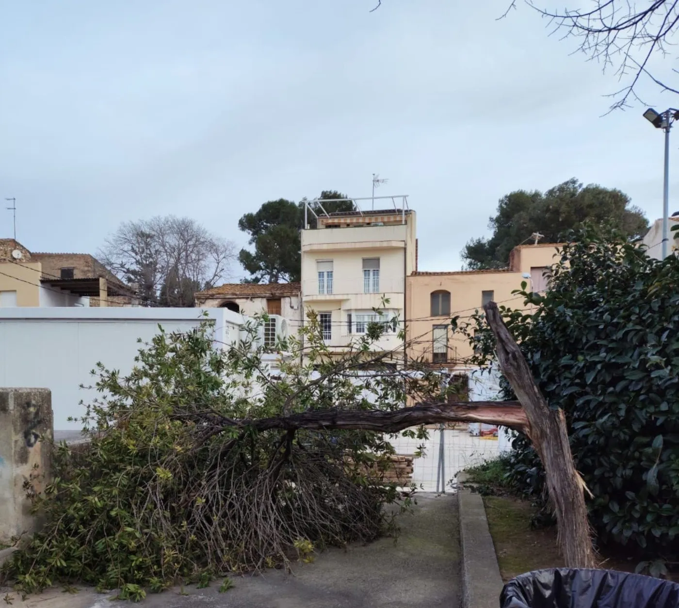 El Morell es blinda pel vent i tanca els seus parcs fins a nou avís