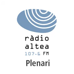 Plenari del 8/10/2026 - episode art