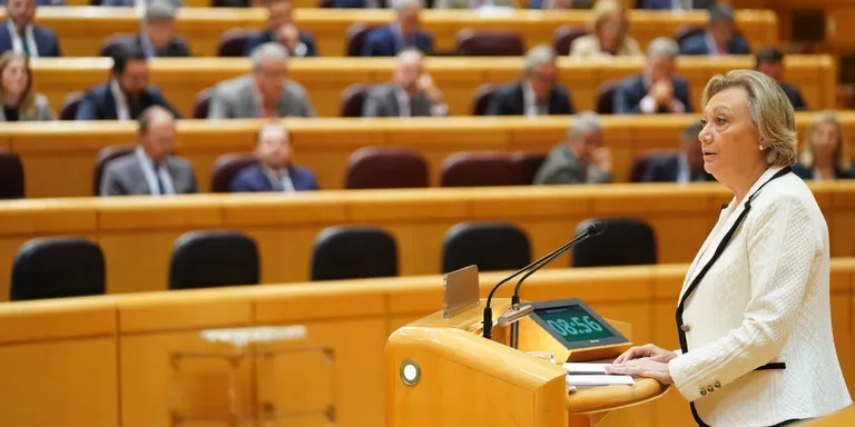 El Senat aprova la reforma del reglament impulsada pel PP per endarrerir la tramitació de l'amnistia