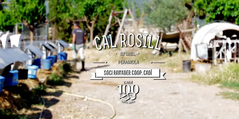 La Ruta de les Formatgeries visita l'explotació agrària de Cal Rosill de Peramola