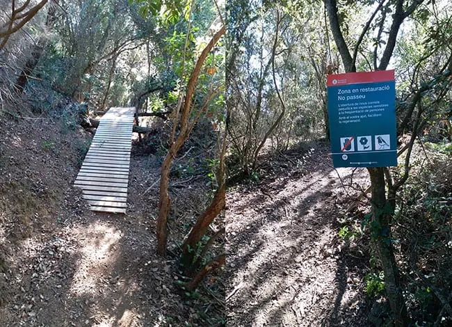 Es desmantella un circuit de BTT al Montnegre que no tenia el permís de la propietat ni del parc