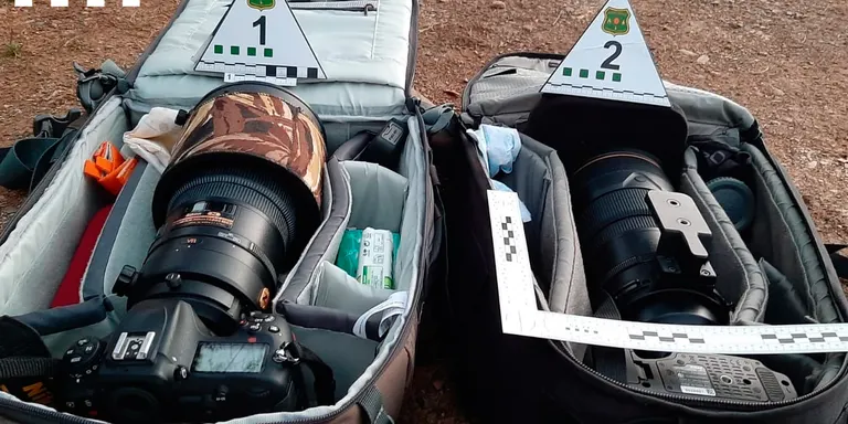 Denuncien dues persones per fer un reportatge fotogràfic del gall fer sense permís al Parc de l'Alt Pirineu