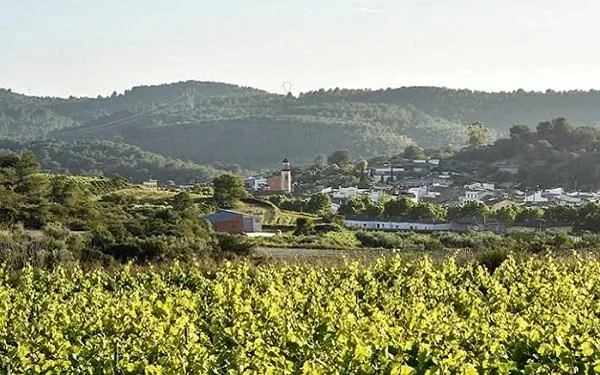 Foto: Ajuntament de Salomó