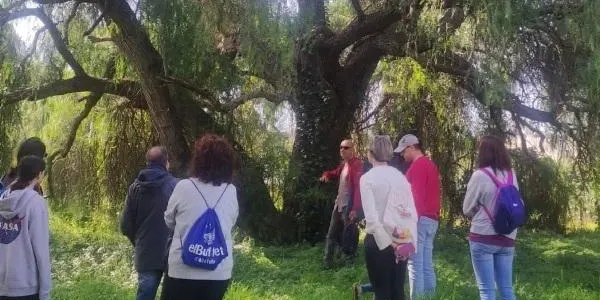 Altafulla programa quatre sortides de tardor per descobrir el patrimoni natural i rural del municipi