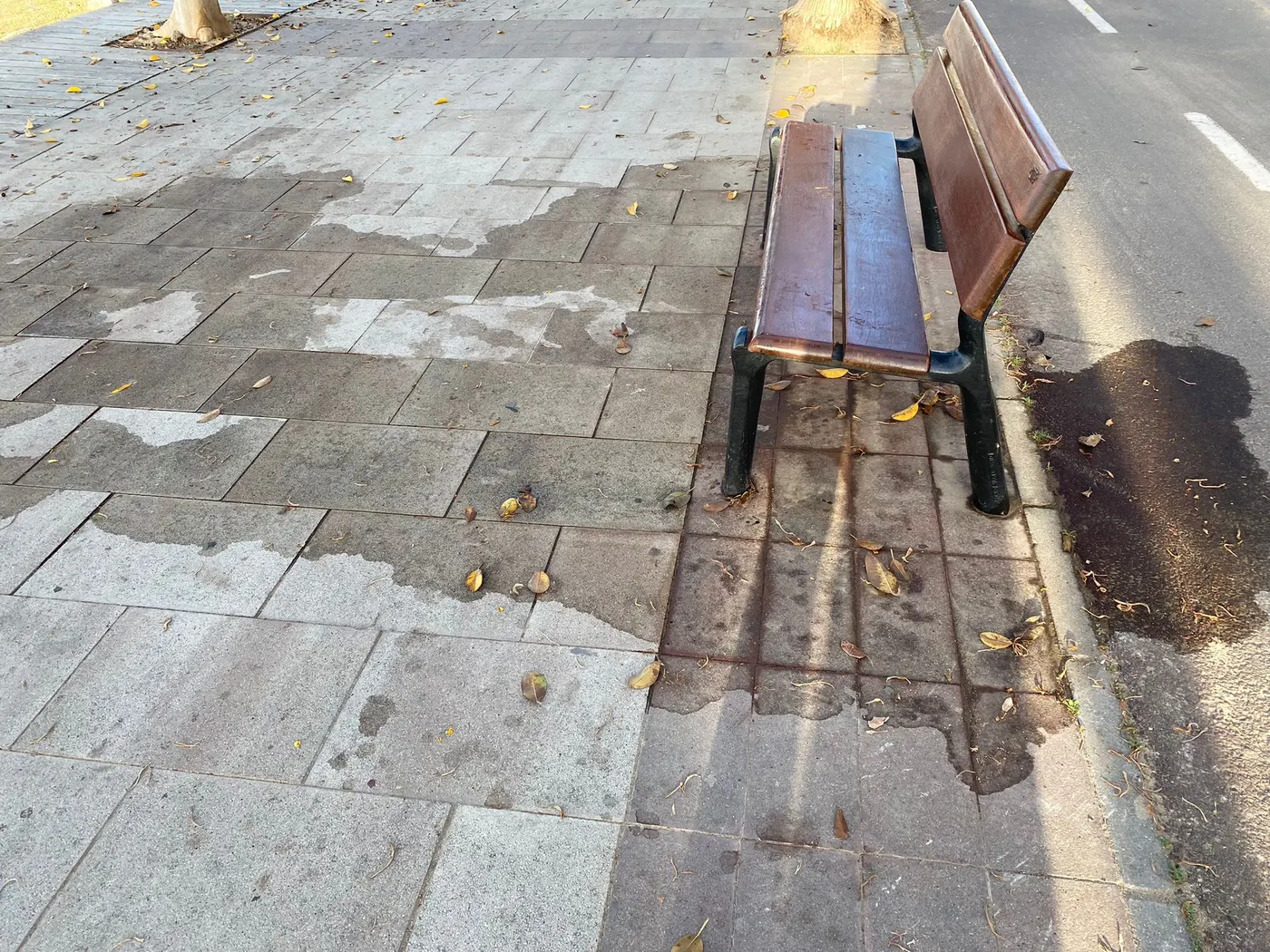 Esquerra critica l’estat en què es troben els carrers de Cambrils