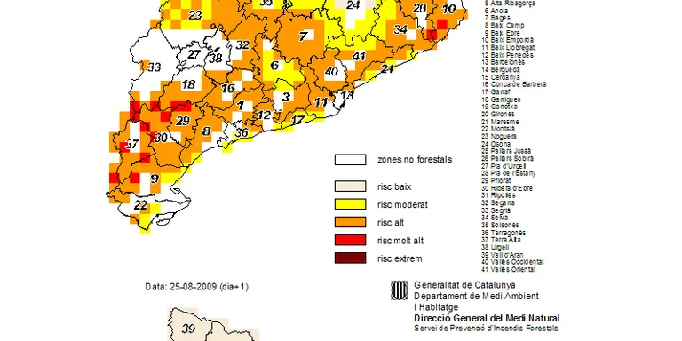 Un incendi crema 1.500 metres quadrats de matolls a la Seu