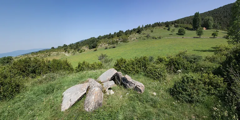 Una visita al dolmen de la Llosa de Bescaran, primera proposta d''Els dimecres coneixem l'Alt Urgell'