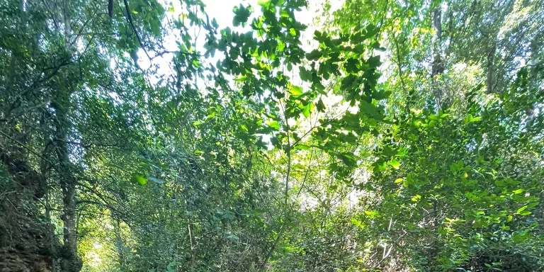 La setmana que ve es farà una campanya casa per casa per animar als veïns a reciclar bé i fer bé el porta a porta