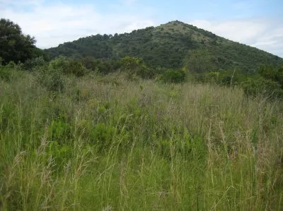 Coneix els tresors del Montpalau, a la ruta guiada per la Riera de Pineda